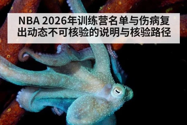 NBA 2026年训练营名单与伤病复出动态不可核验的说明与核验路径