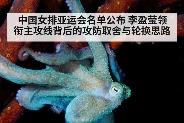 中国女排亚运会名单公布 李盈莹领衔主攻线背后的攻防取舍与轮换思路